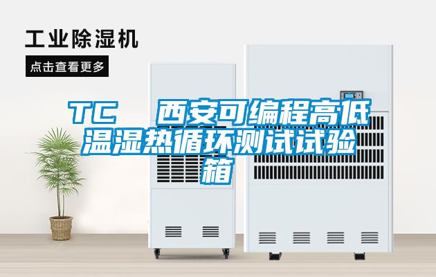 TC  西安可編程高低溫濕熱循環(huán)測(cè)試試驗(yàn)箱