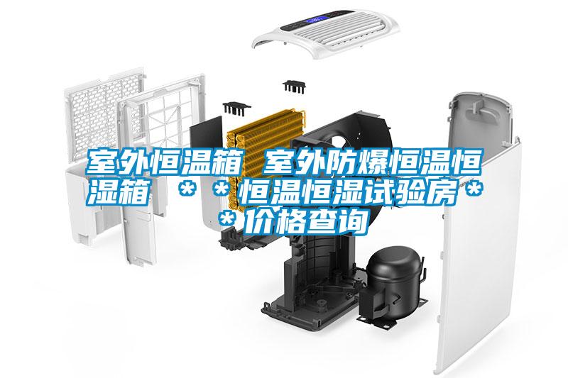 室外恒溫箱 室外防爆恒溫恒濕箱 ＊＊恒溫恒濕試驗(yàn)房＊＊價格查詢