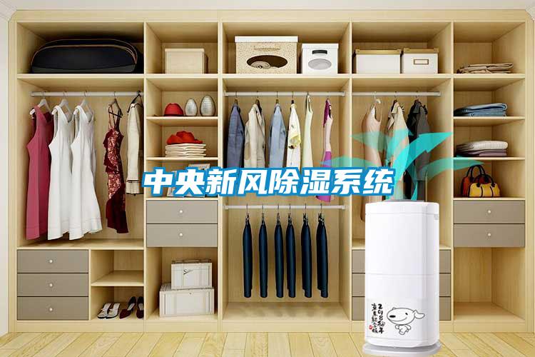 中央新風除濕系統(tǒng)