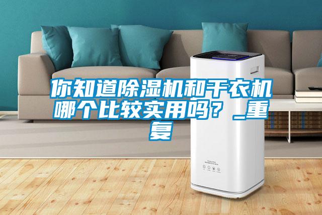 你知道除濕機和干衣機哪個比較實用嗎？_重復