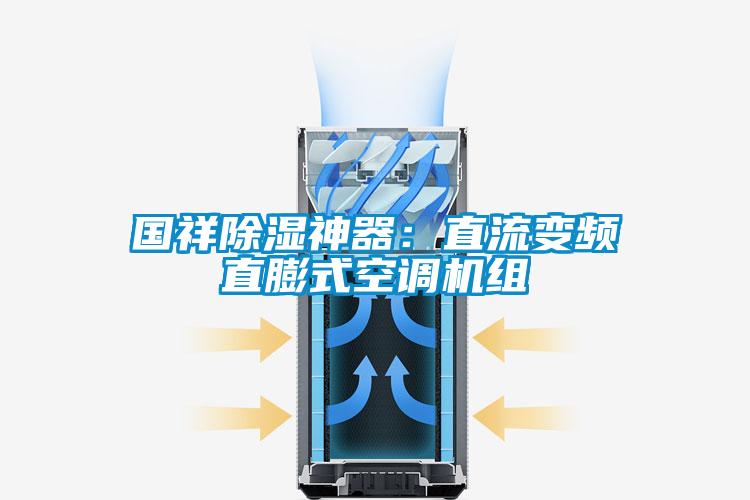 國祥除濕神器:直流變頻直膨式空調(diào)機組