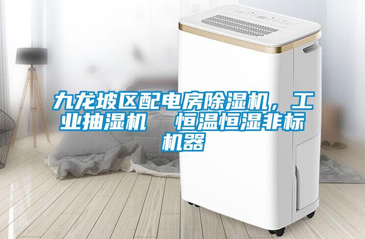 九龍坡區(qū)配電房除濕機，工業(yè)抽濕機  恒溫恒濕非標(biāo)機器