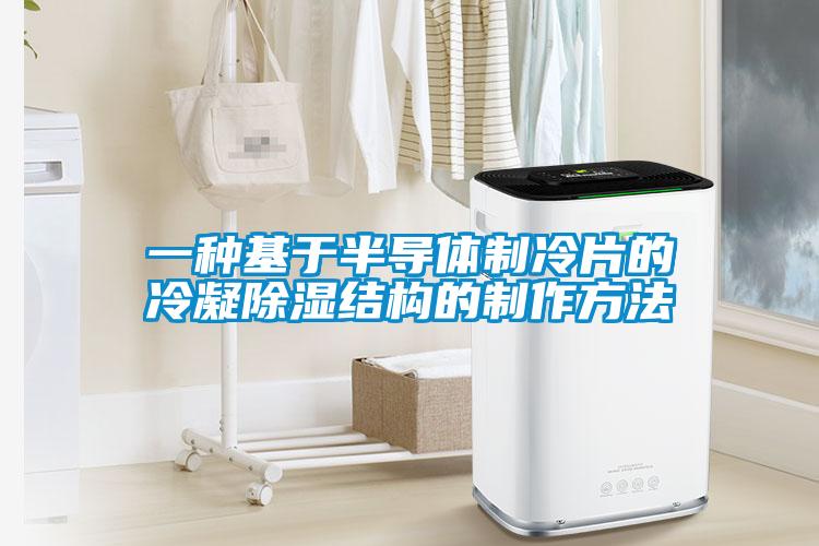 一種基于半導體制冷片的冷凝除濕結(jié)構(gòu)的制作方法