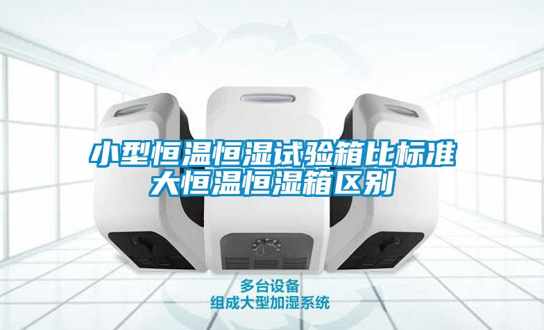 小型恒溫恒濕試驗箱比標(biāo)準(zhǔn)大恒溫恒濕箱區(qū)別