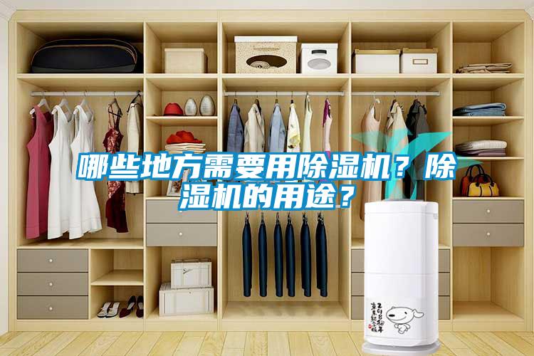 哪些地方需要用除濕機(jī)？除濕機(jī)的用途？