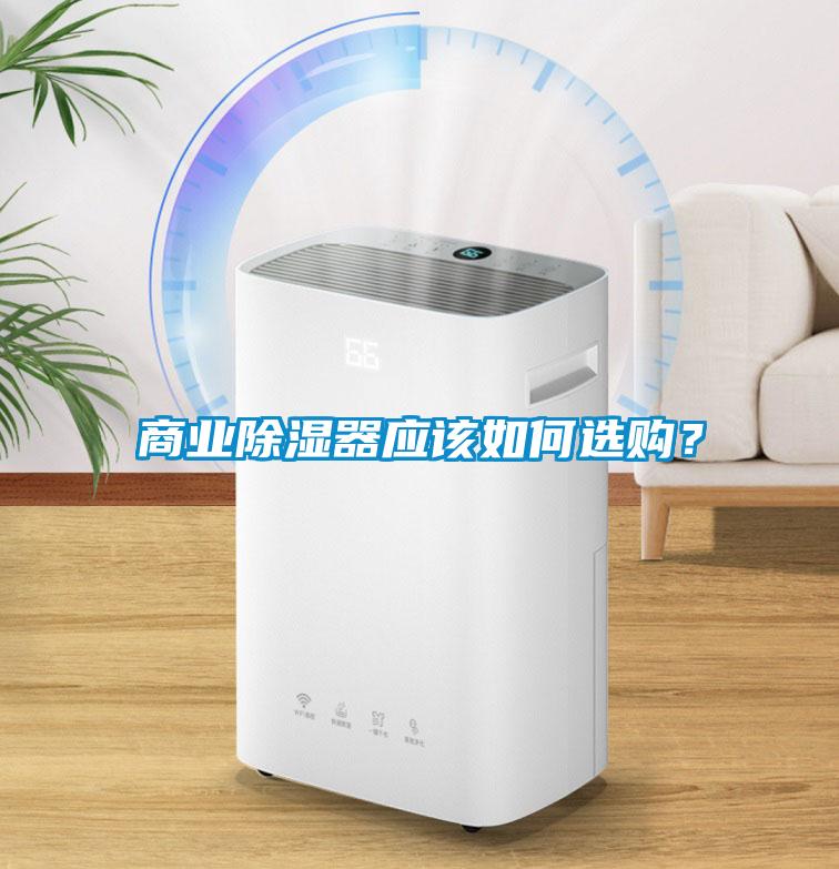 商業除濕器應該如何選購？