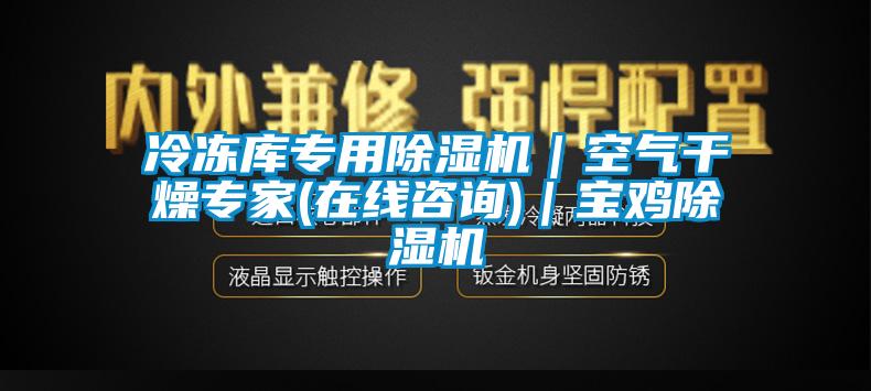 冷凍庫專用除濕機(jī)｜空氣干燥專家(在線咨詢)｜寶雞除濕機(jī)