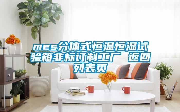 mes分體式恒溫恒濕試驗(yàn)箱非標(biāo)訂制工廠 返回列表頁
