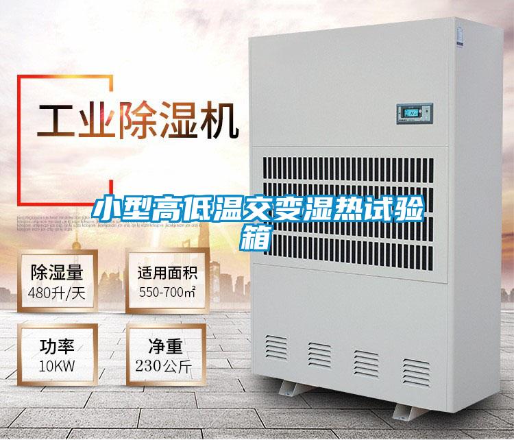 小型高低溫交變濕熱試驗(yàn)箱