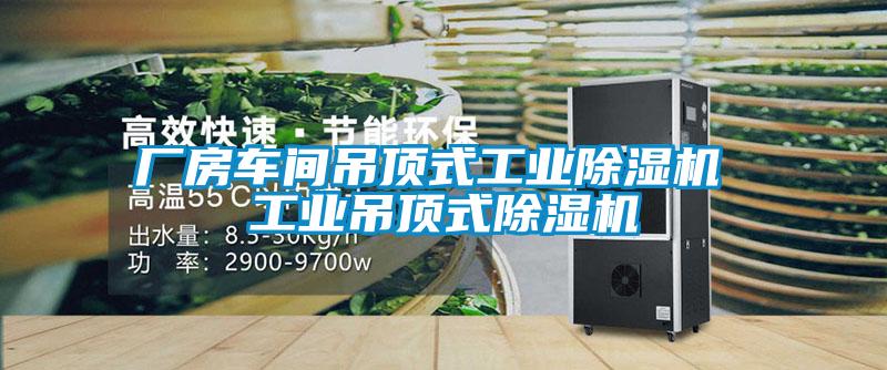 廠(chǎng)房車(chē)間吊頂式工業(yè)除濕機(jī) 工業(yè)吊頂式除濕機(jī)