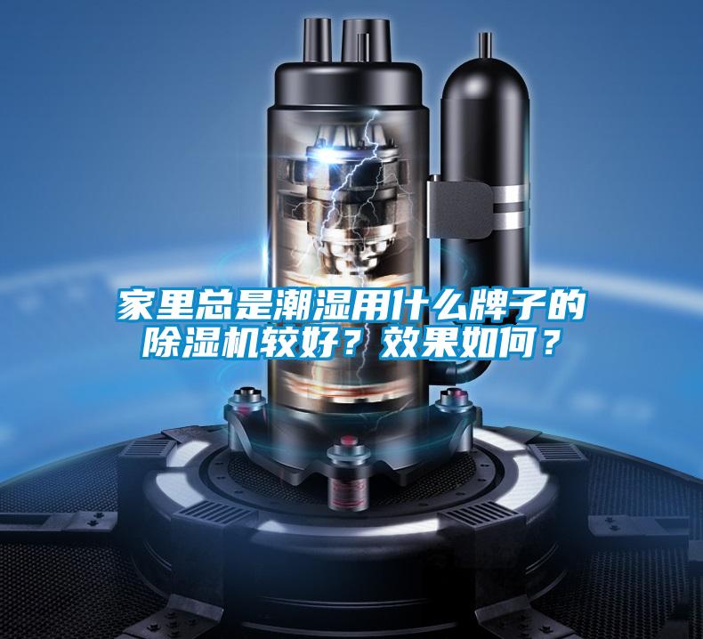家里總是潮濕用什么牌子的除濕機較好？效果如何？