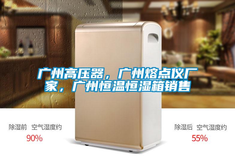 廣州高壓器，廣州熔點儀廠家，廣州恒溫恒濕箱銷售