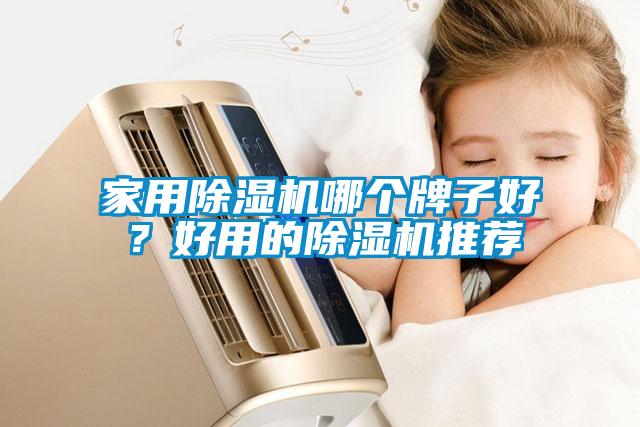 家用除濕機哪個牌子好？好用的除濕機推薦