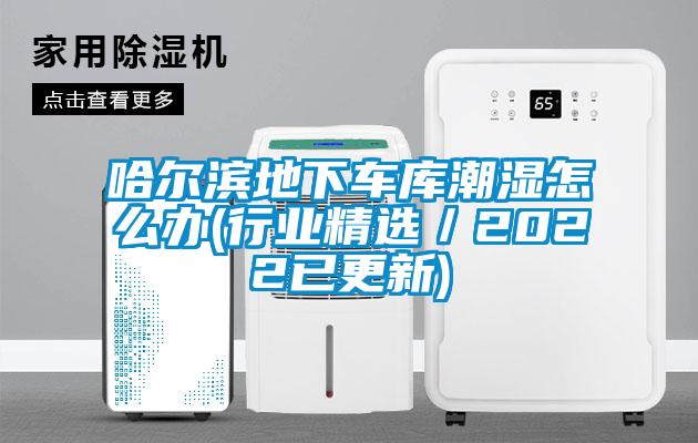 哈爾濱地下車庫潮濕怎么辦(行業精選/2022已更新)