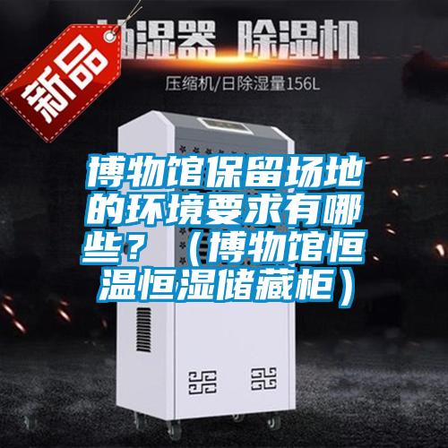 博物館保留場地的環境要求有哪些？（博物館恒溫恒濕儲藏柜）