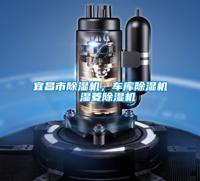 宜昌市除濕機(jī)，車庫除濕機(jī)  濕菱除濕機(jī)