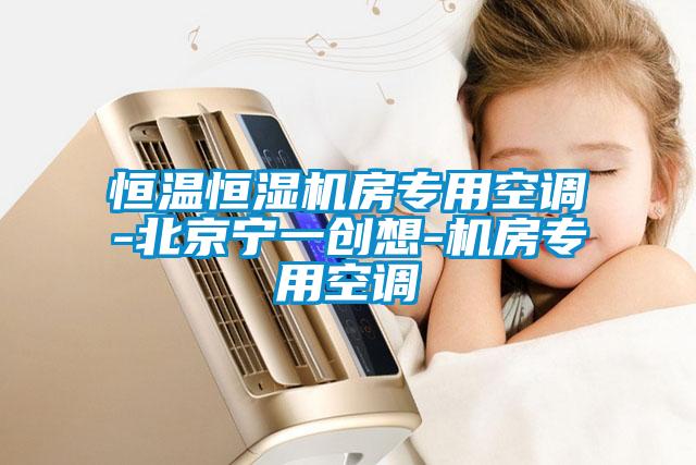 恒溫恒濕機(jī)房專用空調(diào)-北京寧一創(chuàng)想-機(jī)房專用空調(diào)