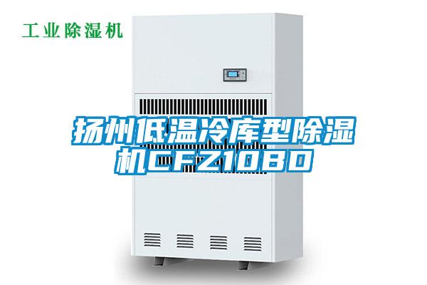 揚(yáng)州低溫冷庫型除濕機(jī)CFZ10BD