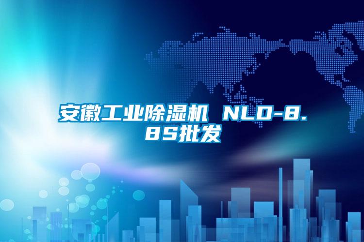 安徽工業(yè)除濕機 NLD-8.8S批發(fā)