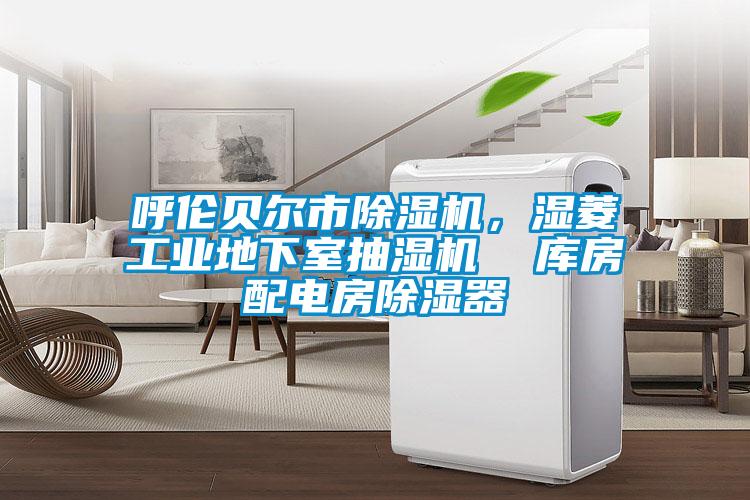 呼倫貝爾市除濕機(jī)，濕菱工業(yè)地下室抽濕機(jī)  庫房配電房除濕器