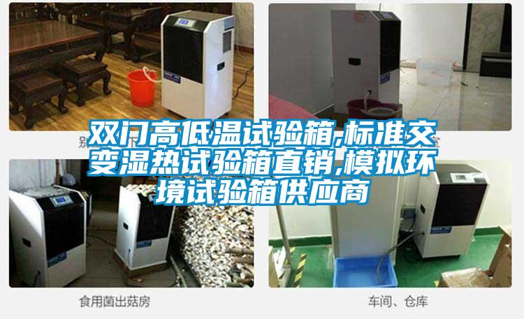 雙門高低溫試驗箱,標準交變濕熱試驗箱直銷,模擬環境試驗箱供應商