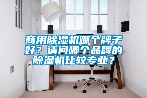 商用除濕機哪個牌子好？請問哪個品牌的除濕機比較專業？