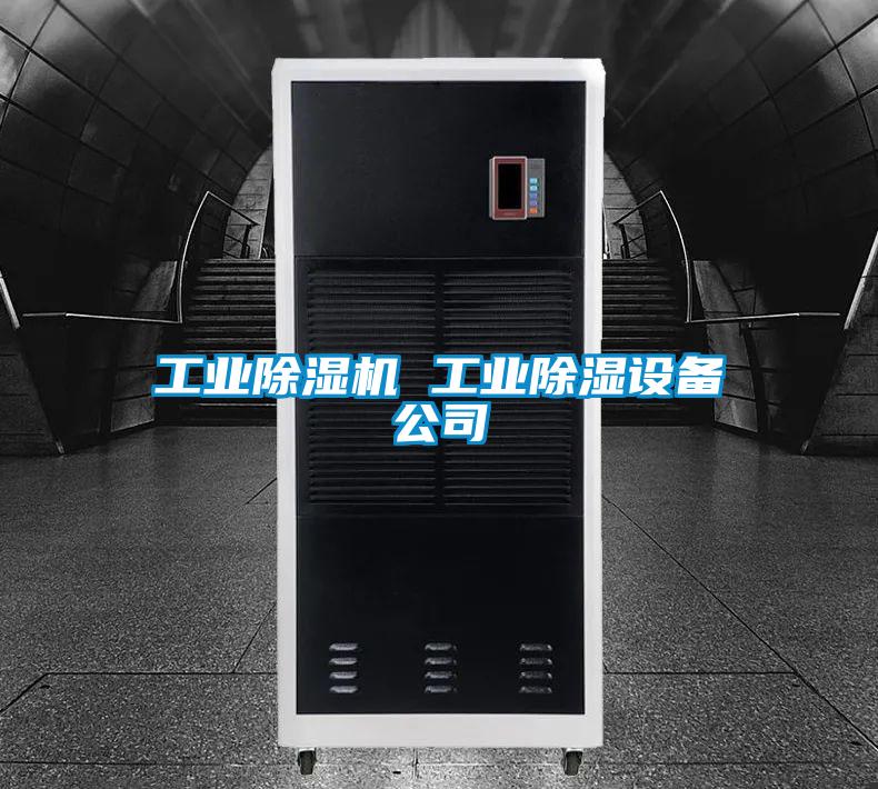 工業(yè)除濕機 工業(yè)除濕設(shè)備公司