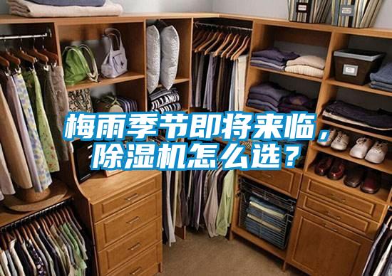 梅雨季節即將來臨，除濕機怎么選？