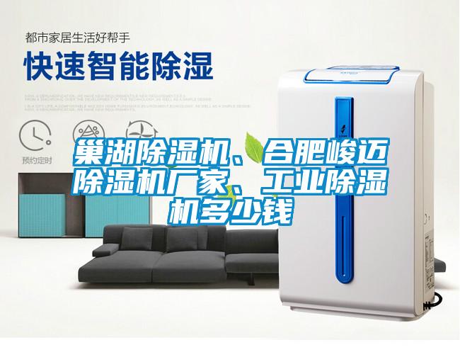 巢湖除濕機、合肥峻邁除濕機廠家、工業(yè)除濕機多少錢