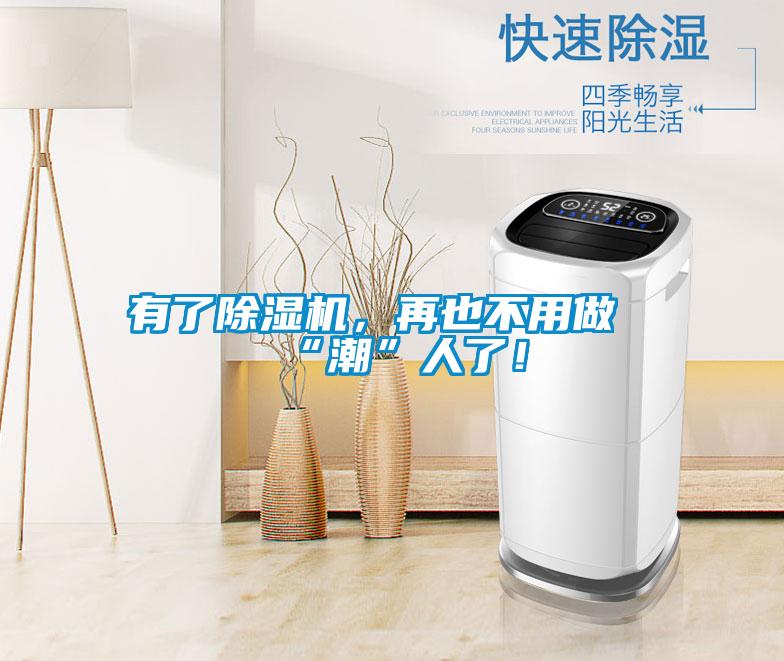 有了除濕機，再也不用做“潮”人了！