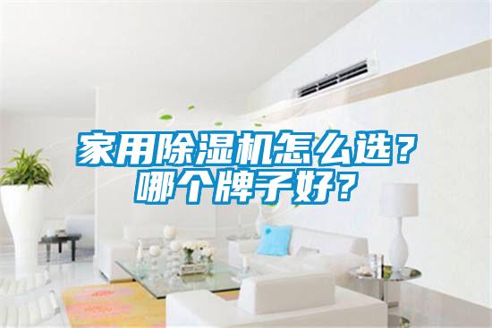 家用除濕機怎么選？哪個牌子好？