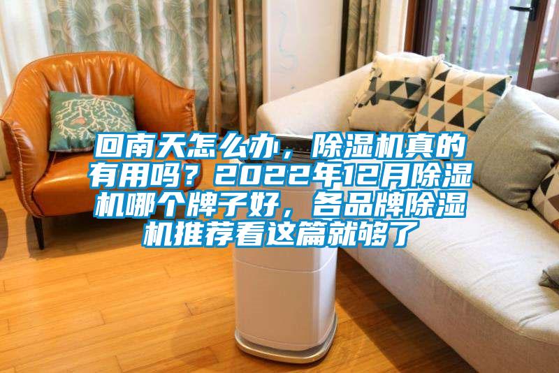 回南天怎么辦，除濕機真的有用嗎？2022年12月除濕機哪個牌子好，各品牌除濕機推薦看這篇就夠了
