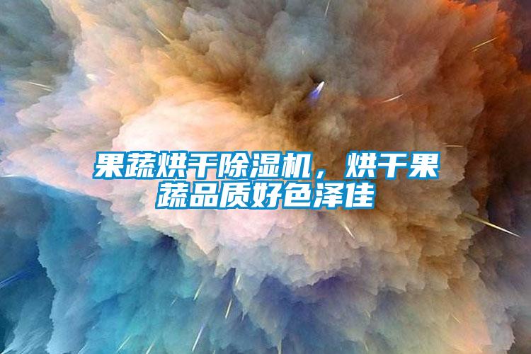 果蔬烘干除濕機，烘干果蔬品質好色澤佳