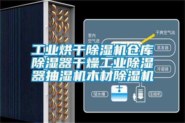 工業(yè)烘干除濕機(jī)倉(cāng)庫(kù)除濕器干燥工業(yè)除濕器抽濕機(jī)木材除濕機(jī)