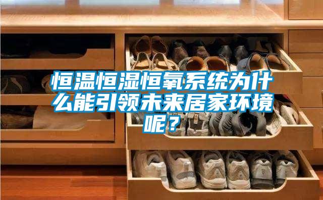 恒溫恒濕恒氧系統(tǒng)為什么能引領(lǐng)未來(lái)居家環(huán)境呢？