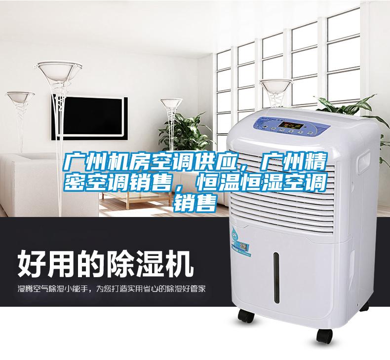 廣州機房空調供應，廣州精密空調銷售，恒溫恒濕空調銷售