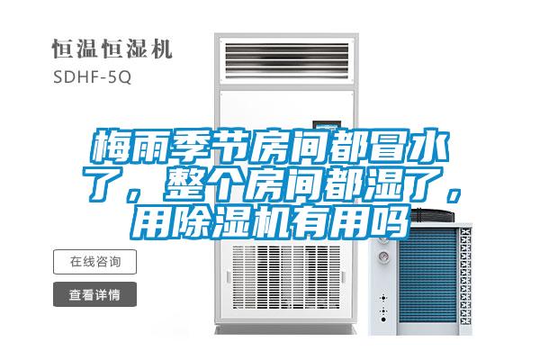 梅雨季節房間都冒水了，整個房間都濕了，用除濕機有用嗎