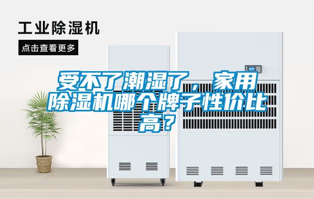 受不了潮濕了，家用除濕機(jī)哪個(gè)牌子性價(jià)比高？