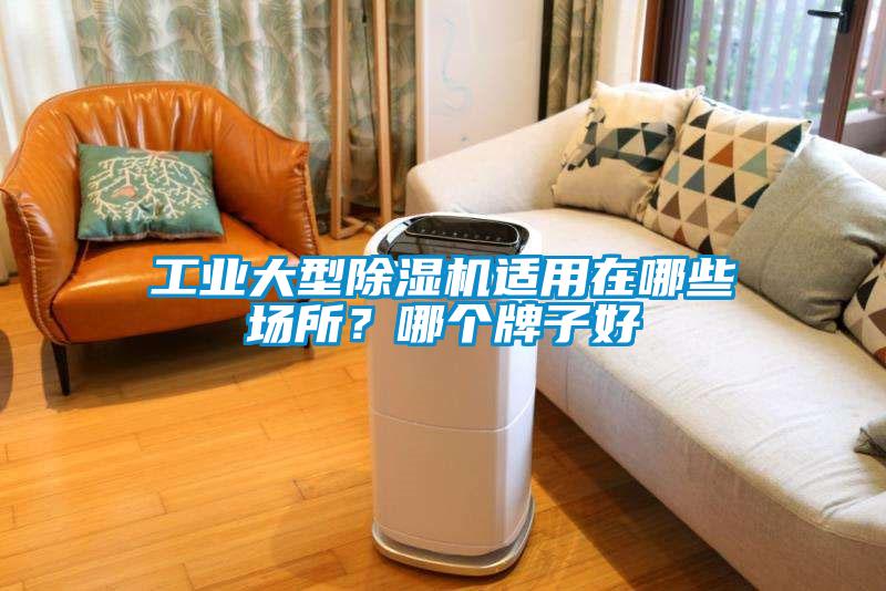 工業大型除濕機適用在哪些場所？哪個牌子好