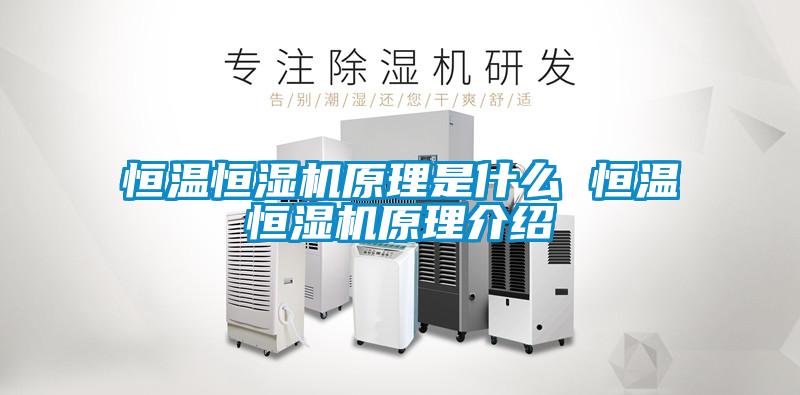 恒溫恒濕機(jī)原理是什么 恒溫恒濕機(jī)原理介紹