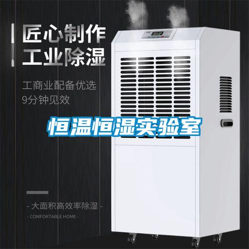 恒溫恒濕實(shí)驗(yàn)室