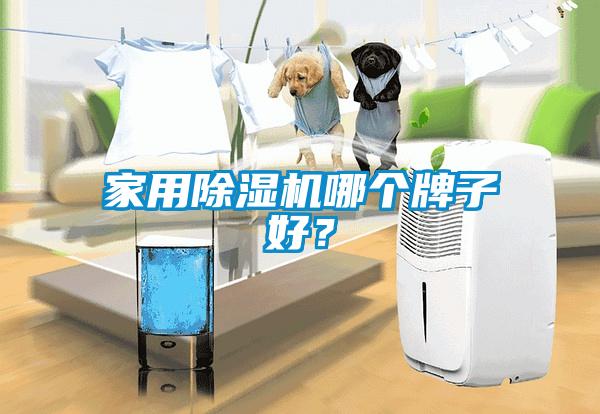 家用除濕機哪個牌子好？