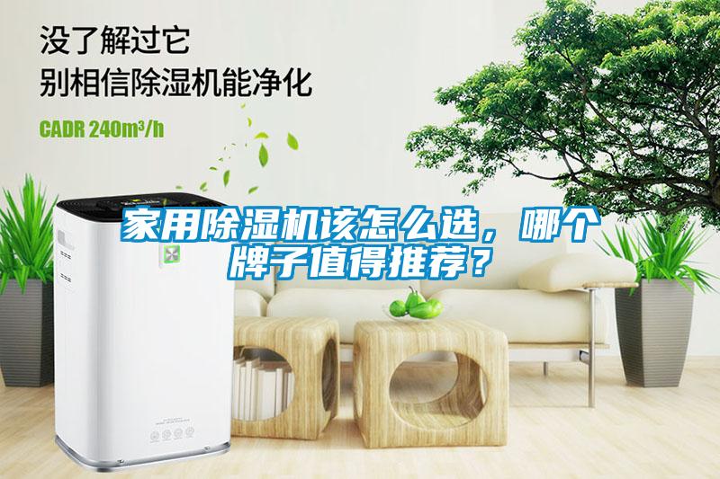 家用除濕機(jī)該怎么選，哪個(gè)牌子值得推薦？