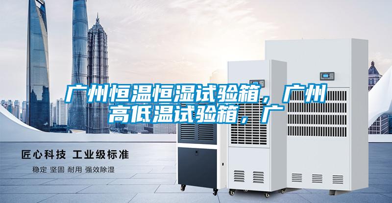 廣州恒溫恒濕試驗箱，廣州高低溫試驗箱，廣