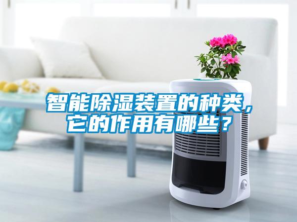 智能除濕裝置的種類，它的作用有哪些？
