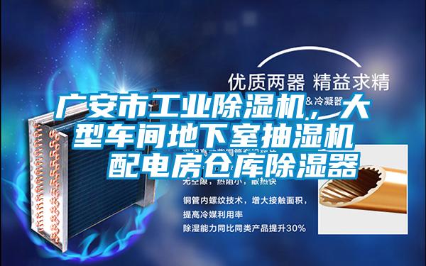 廣安市工業(yè)除濕機(jī)，大型車間地下室抽濕機(jī)  配電房倉庫除濕器