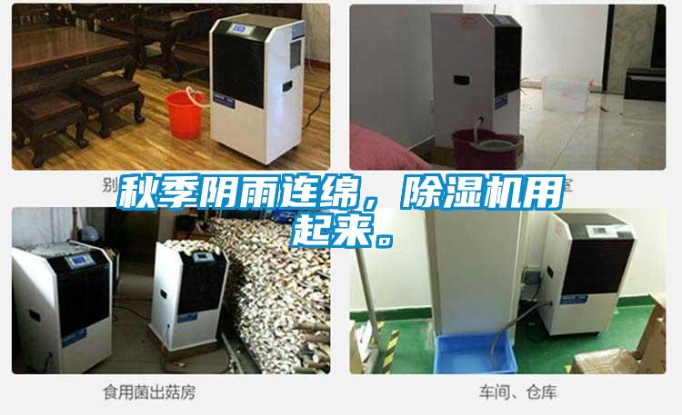 秋季陰雨連綿，除濕機(jī)用起來。
