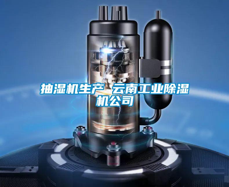 抽濕機生產(chǎn) 云南工業(yè)除濕機公司