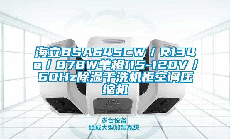 海立BSA645CW／R134a／878W單相115-120V／60Hz除濕干洗機柜空調壓縮機
