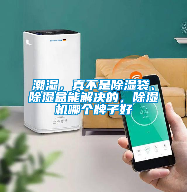 潮濕，真不是除濕袋、除濕盒能解決的，除濕機(jī)哪個(gè)牌子好
